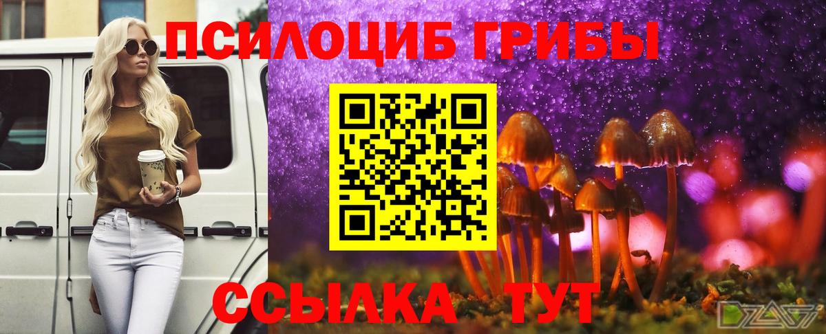 Галлюциногенные грибы Magic Shrooms  Галлюциногенные грибы Psilocybine cubensis  Вход с VPN  Симферополь 